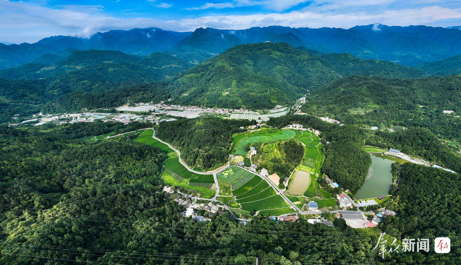 美丽中国行|来草池湾村,和朱鹮做邻居!