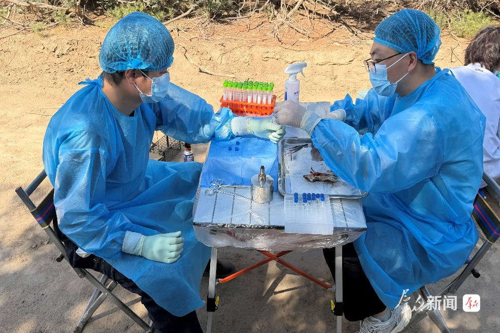 科研人员把实验室搬到田间地头。